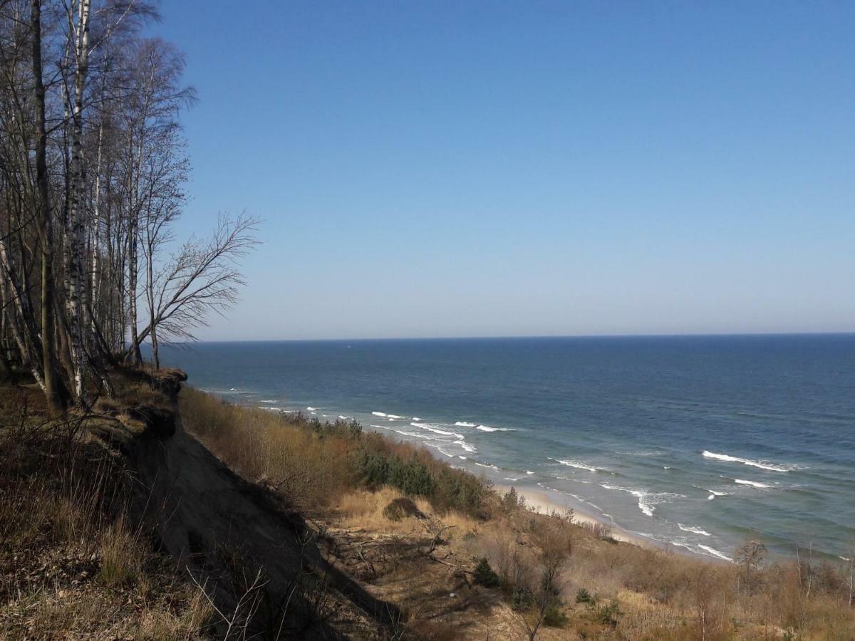 Domki Na Dobrym Kursie Jastrzębia Góra Exterior foto